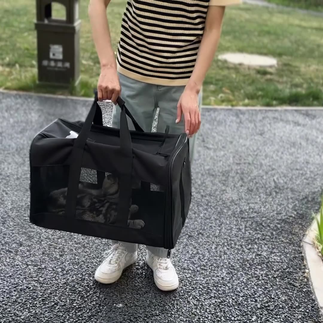 Portable pet carrier bag shown in its unfolded carrying shape
