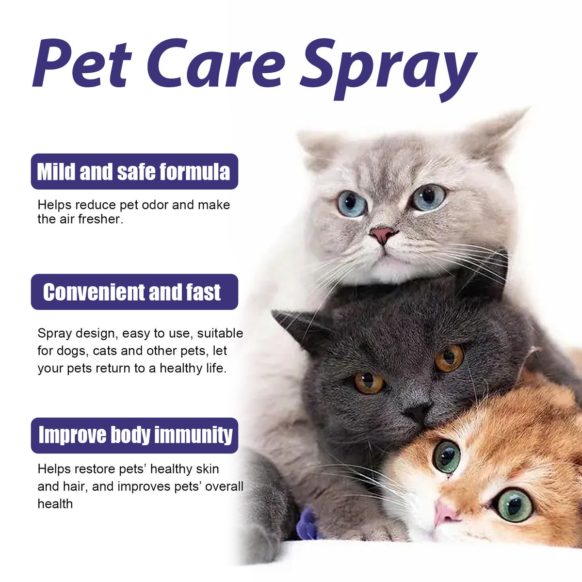 Pet Skin Care Spray Skin Care Spray for Cats and Dogs| Big Paw