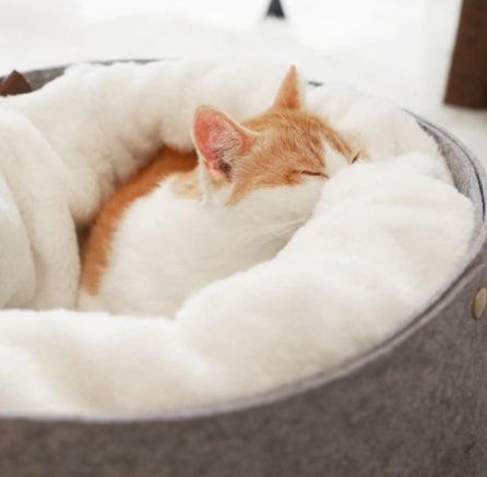 Pet bed for dogs and cats by Big Paw