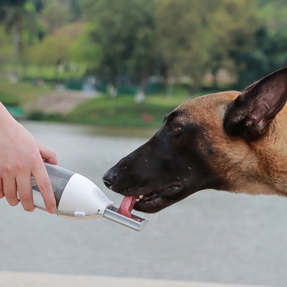 Portable dog water bottle with integrated pet drinking bowl