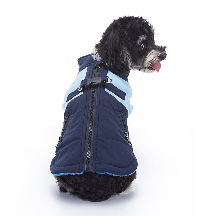 Winter dog jacket showing the overall design