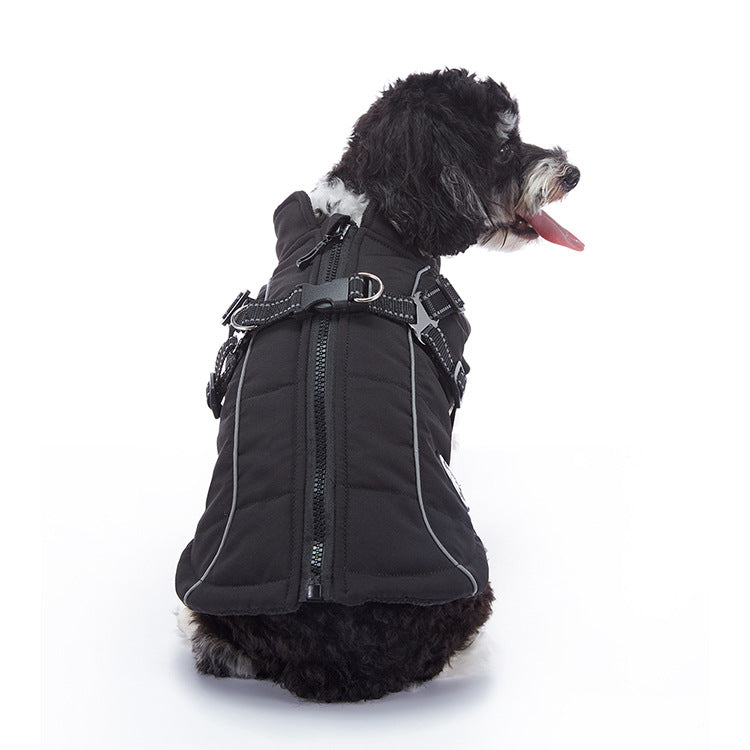 Winter dog jacket showing the overall design