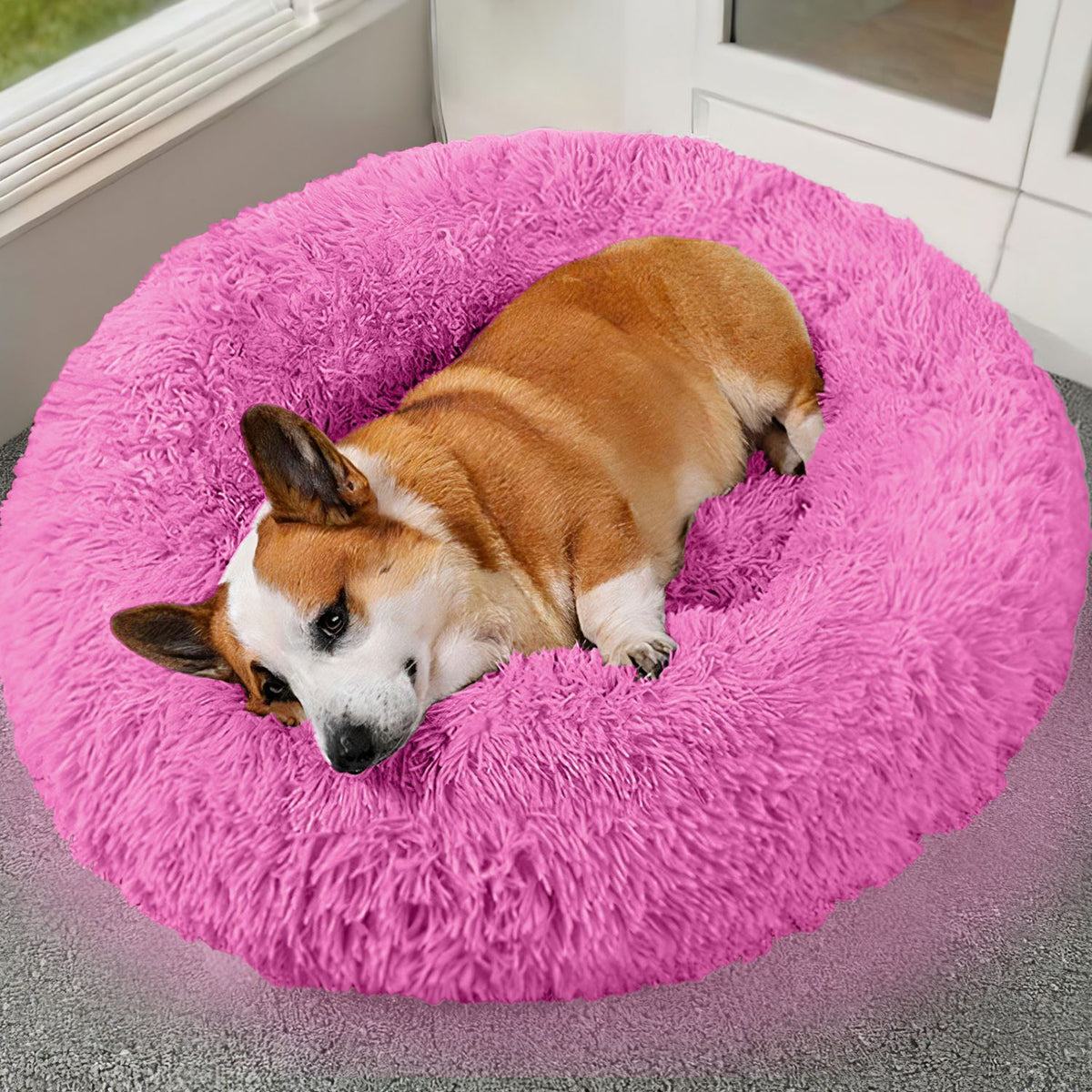 Cat sofa bed with a sofa-style design for indoor cats