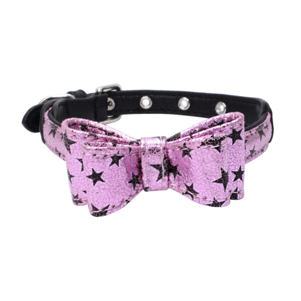 Pet collar displayed as an everyday pet accessory