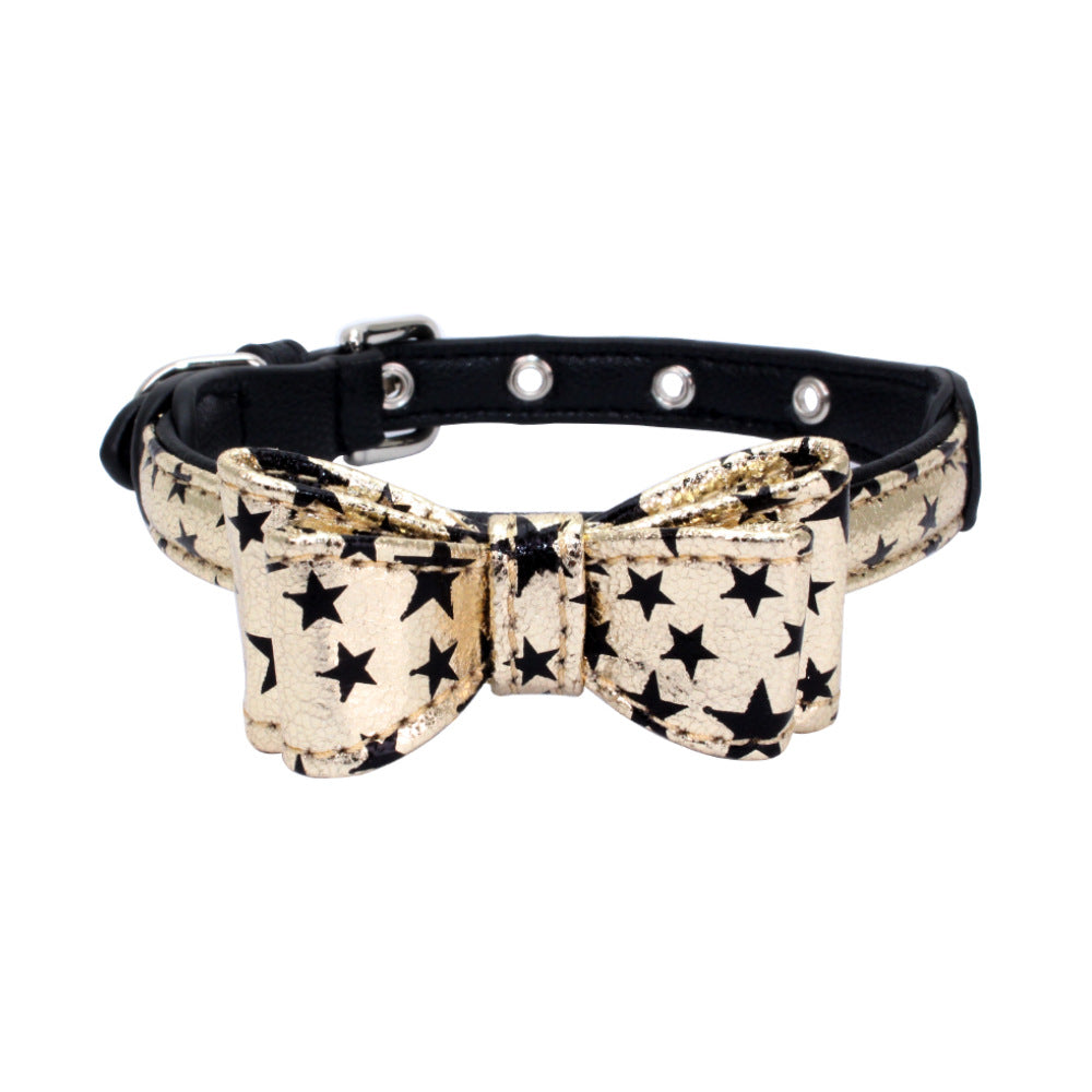 Pet collar displayed as an everyday pet accessory