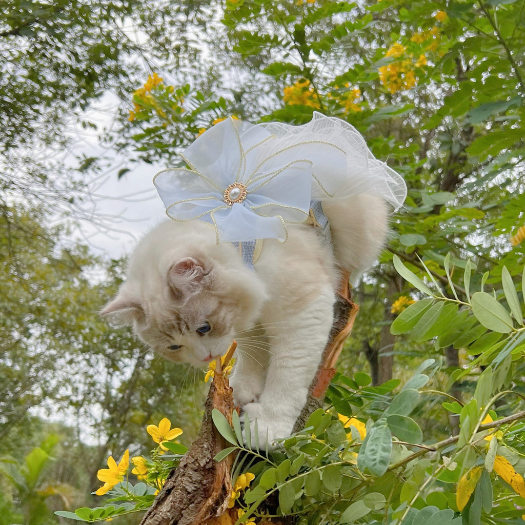Yarn pet leash with a layered woven design for pet walks