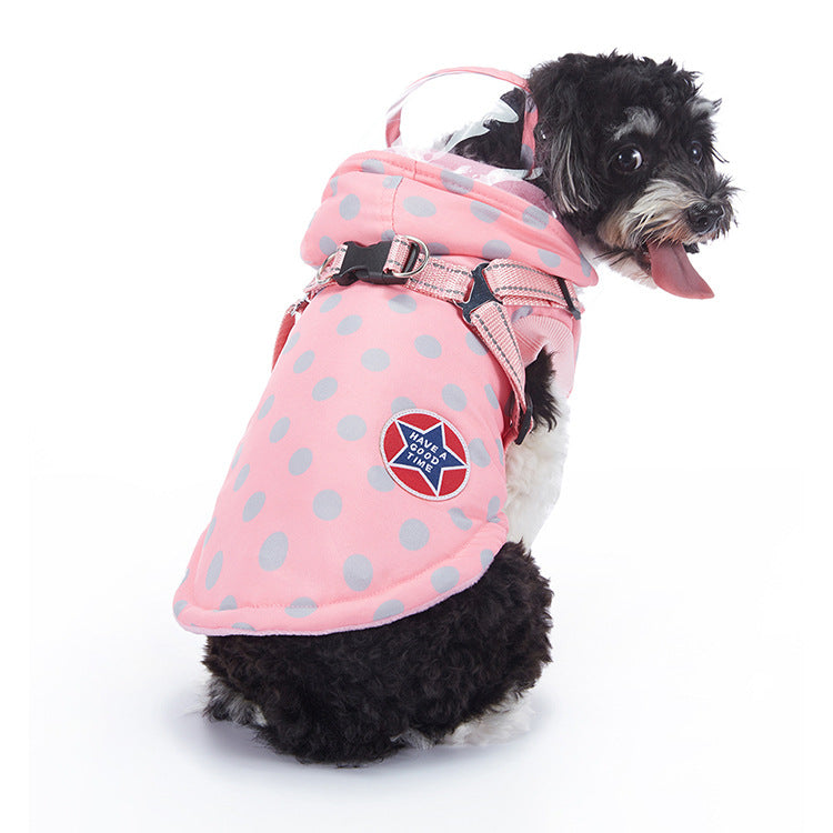 Winter dog jacket showing the overall design