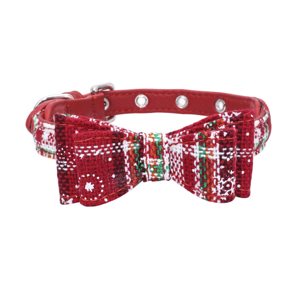 Pet collar displayed as an everyday pet accessory