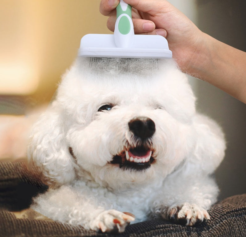 Dog detangling comb for pet grooming