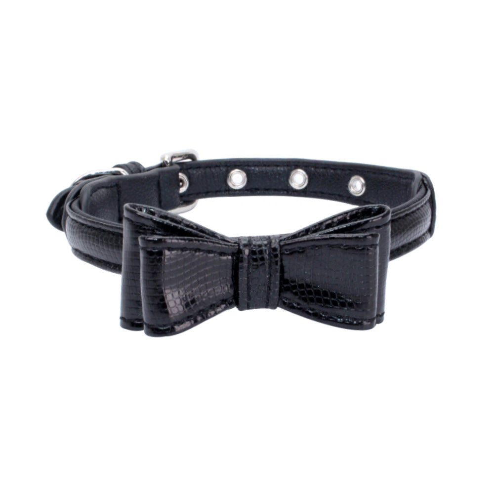 Pet collar displayed as an everyday pet accessory