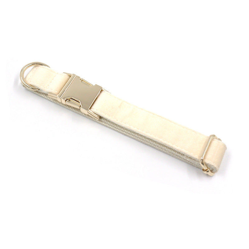 1. Cream dog collar with tufted texture and gold-tone buckle  2. Cream dog collar displayed flat to show its overall design  3. Cream dog collar close-up showing the gold-tone buckle detail  4. Cream dog collar showing the tufted surface texture  5. Cream dog collar worn by a dog during an outdoor walk  6. Cream dog collar displayed alongside coordinating pet accessories