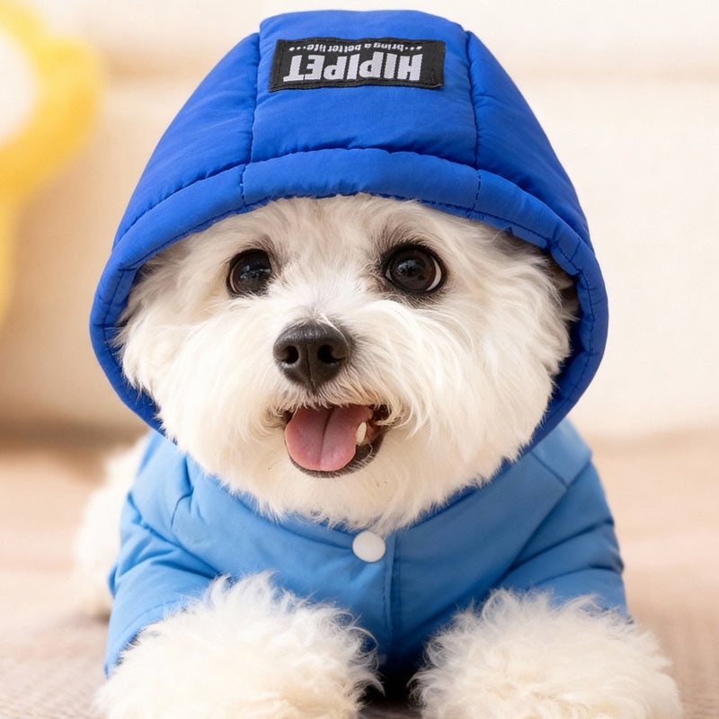 Winter dog down jacket full-body design