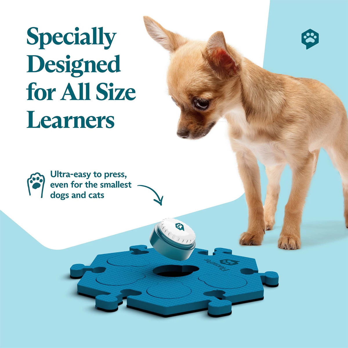 Big Paw Get Started Kit Bold