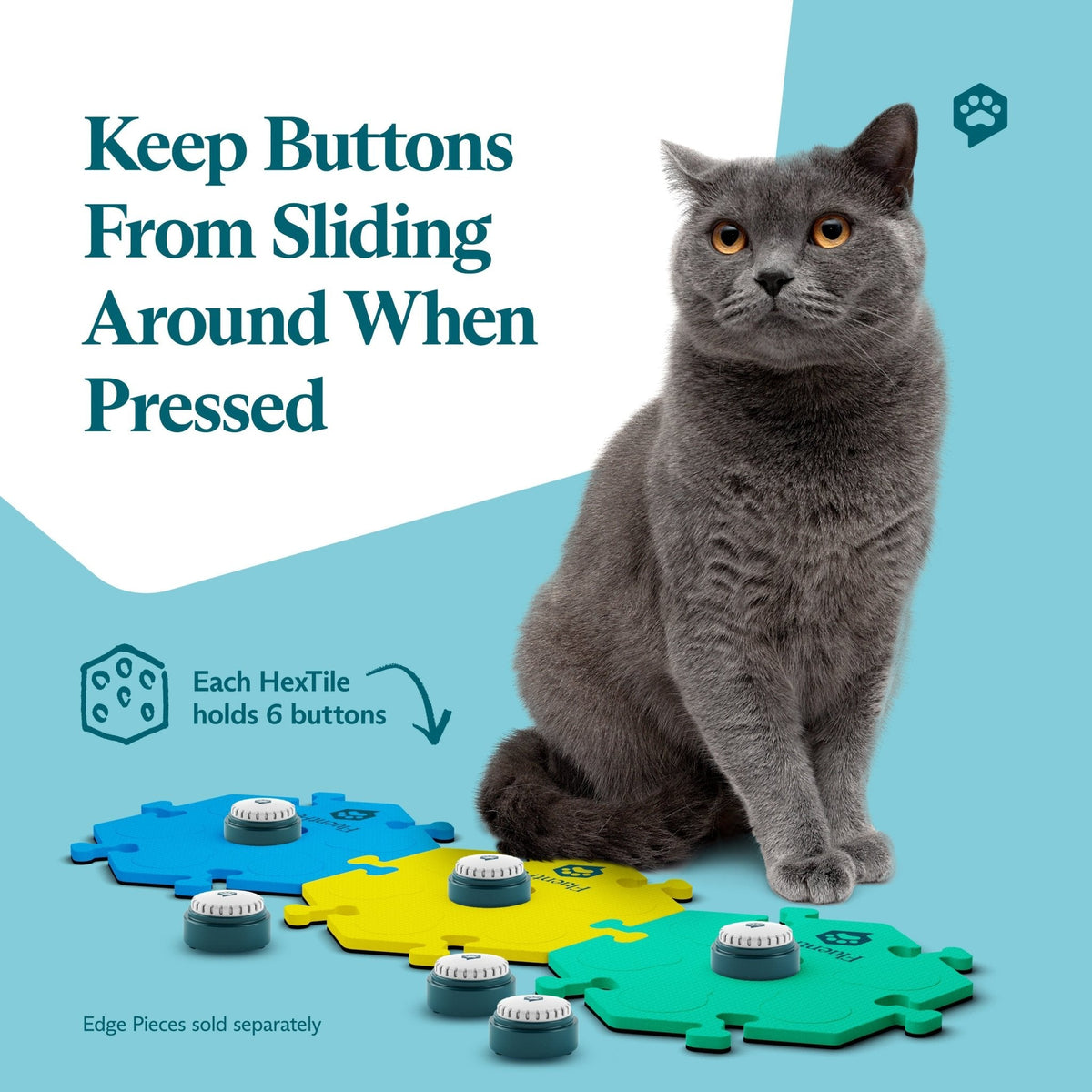 Big Paw Get Started Kit Bold