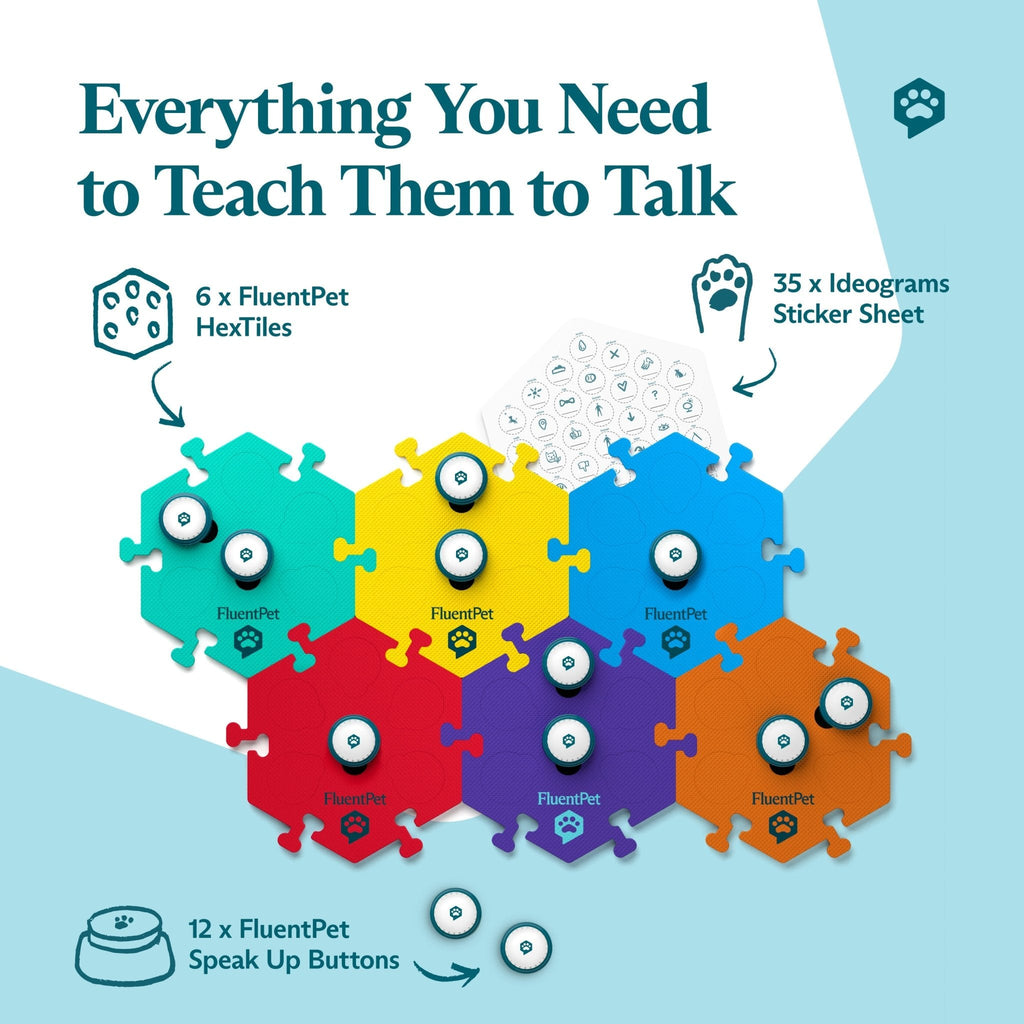 Key Vocab Kit Bold word learning study kit