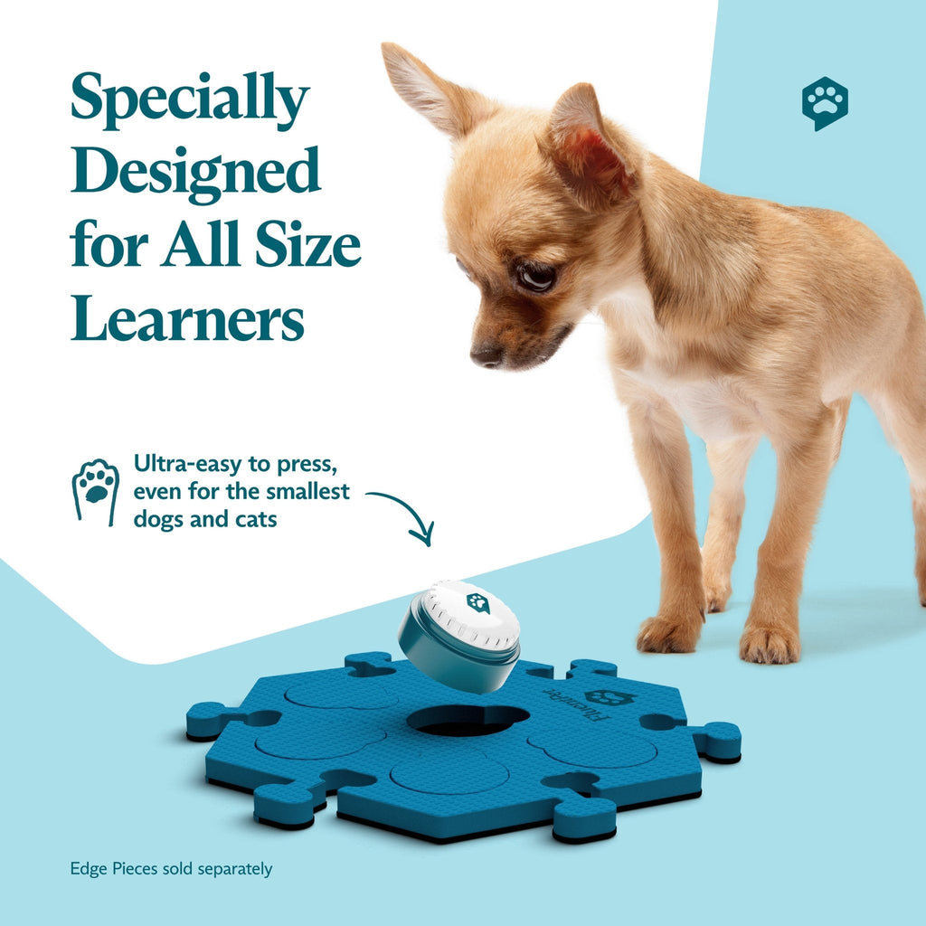 Key Vocab Kit Bold educational vocabulary product