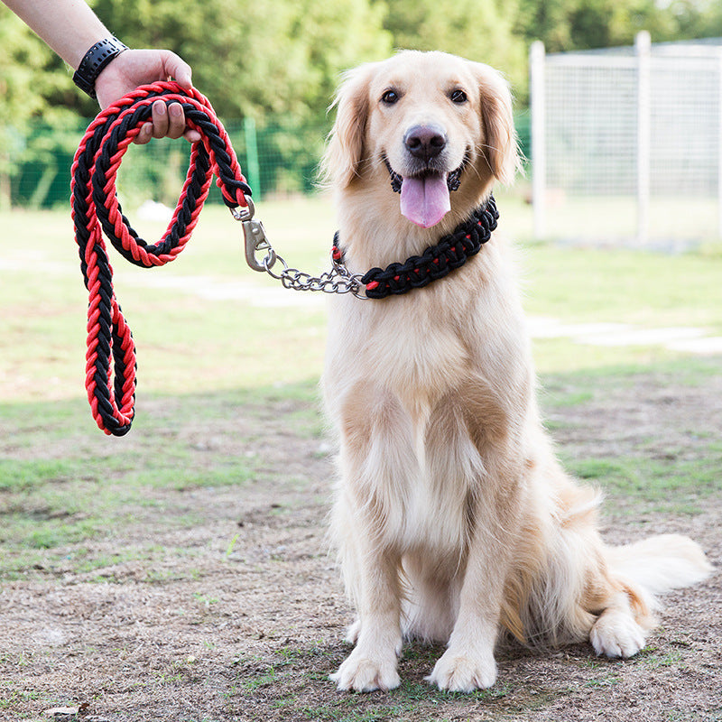 Nylon braided dog leash displayed as a pet walking accessory
