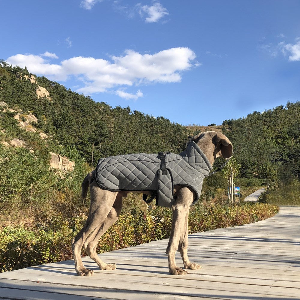 Shop the reflective tactical dog jacket from Big Paw. Explore full-body dog clothing with a tactical-inspired design and reflective detailing.