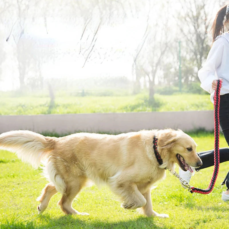 Nylon braided dog leash displayed as a pet walking accessory