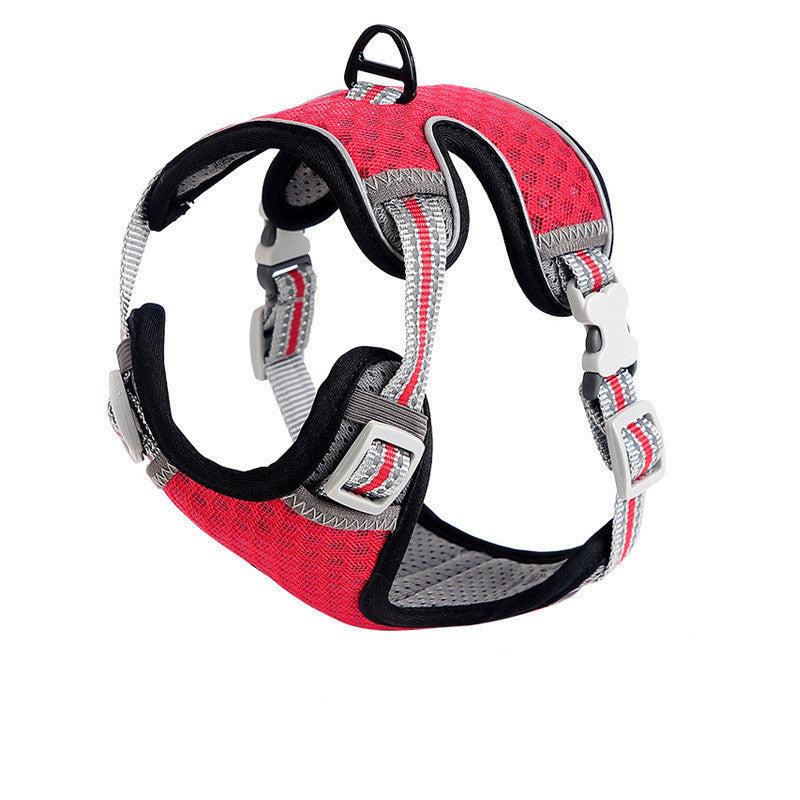 Cat walking harness with chest strap displayed for outdoor use