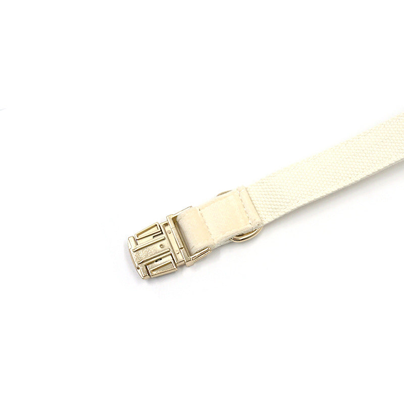 1. Cream dog collar with tufted texture and gold-tone buckle  2. Cream dog collar displayed flat to show its overall design  3. Cream dog collar close-up showing the gold-tone buckle detail  4. Cream dog collar showing the tufted surface texture  5. Cream dog collar worn by a dog during an outdoor walk  6. Cream dog collar displayed alongside coordinating pet accessories