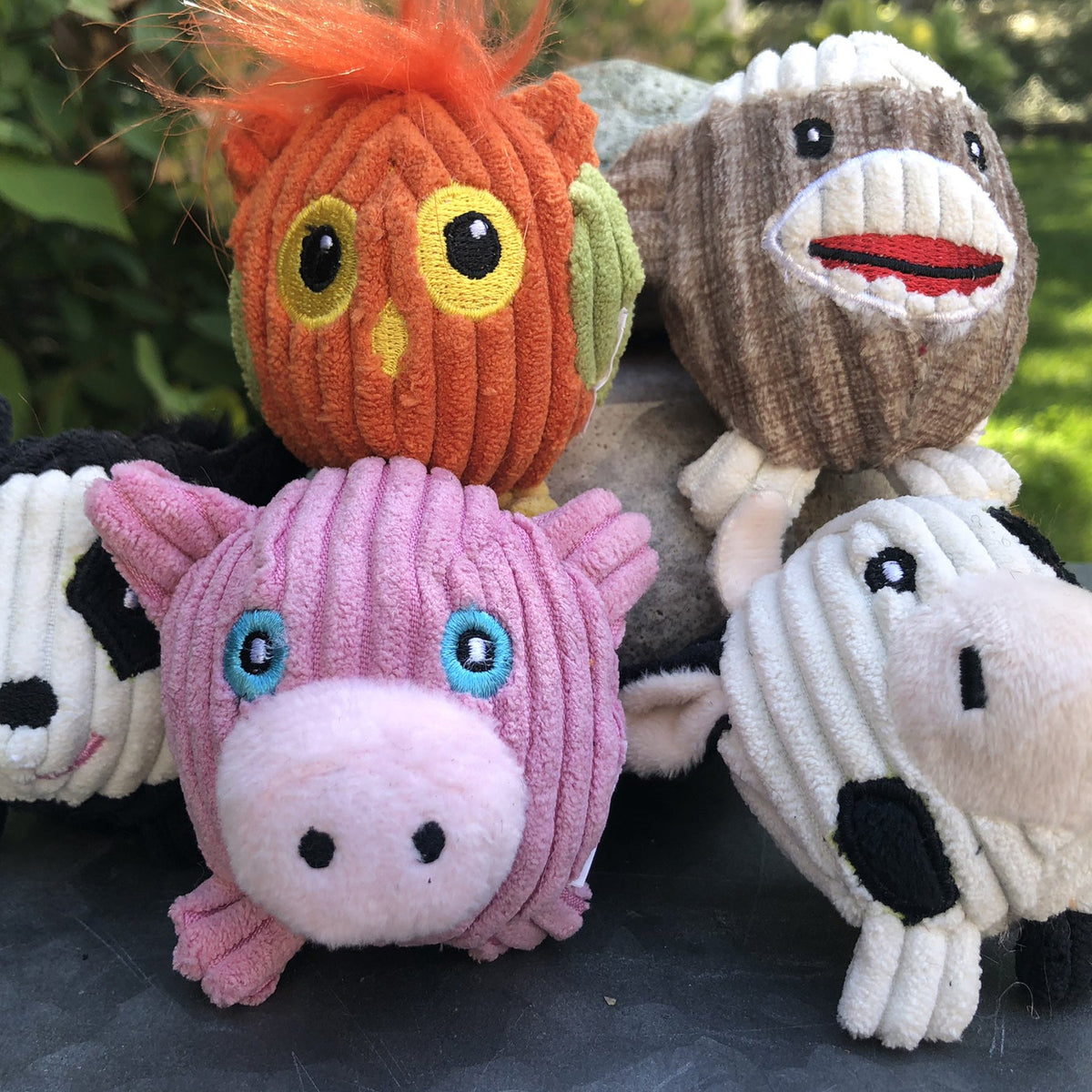 Wee Huggles Assorted Balls Dog Toys 5 Pack