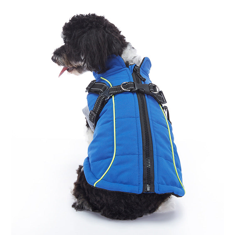 Winter dog jacket showing the overall design