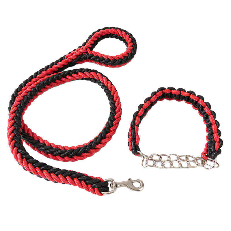 Nylon braided dog leash displayed as a pet walking accessory