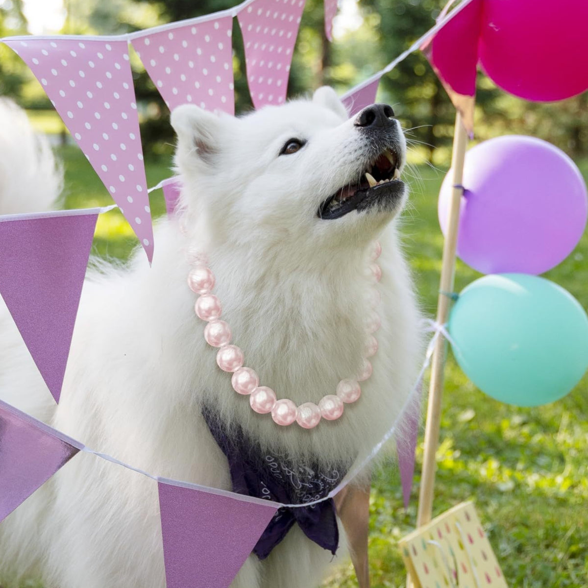 Big Paw large pearl dog necklace