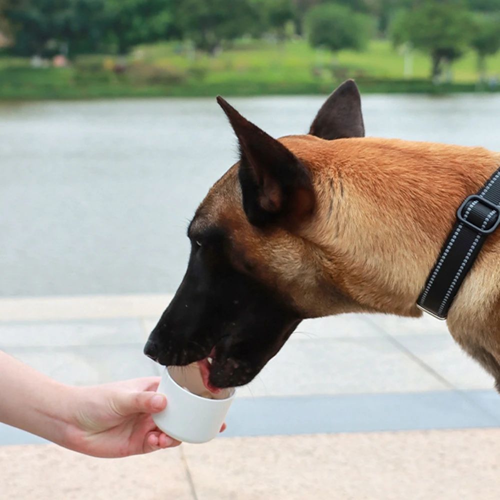 Portable dog water bottle with integrated pet drinking bowl