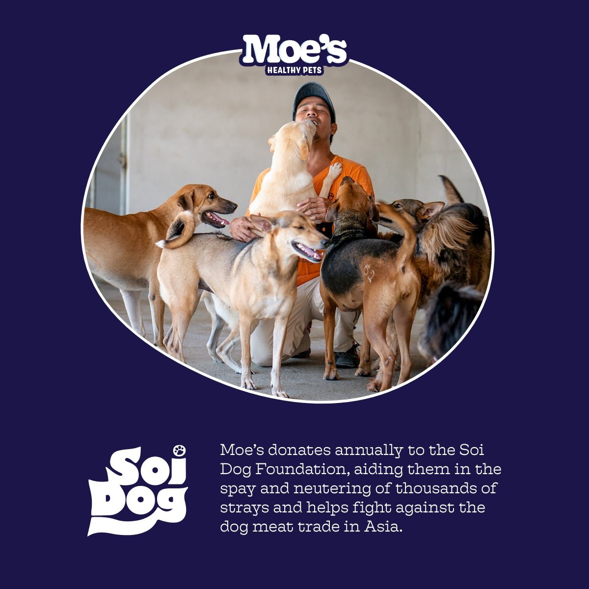 Chillout Chews for Dogs product packaging