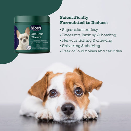 Chillout Chews for Dogs product packaging