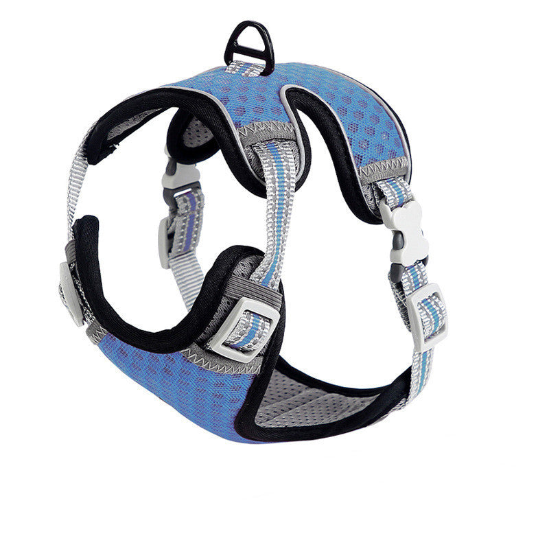 Cat walking harness with chest strap displayed for outdoor use