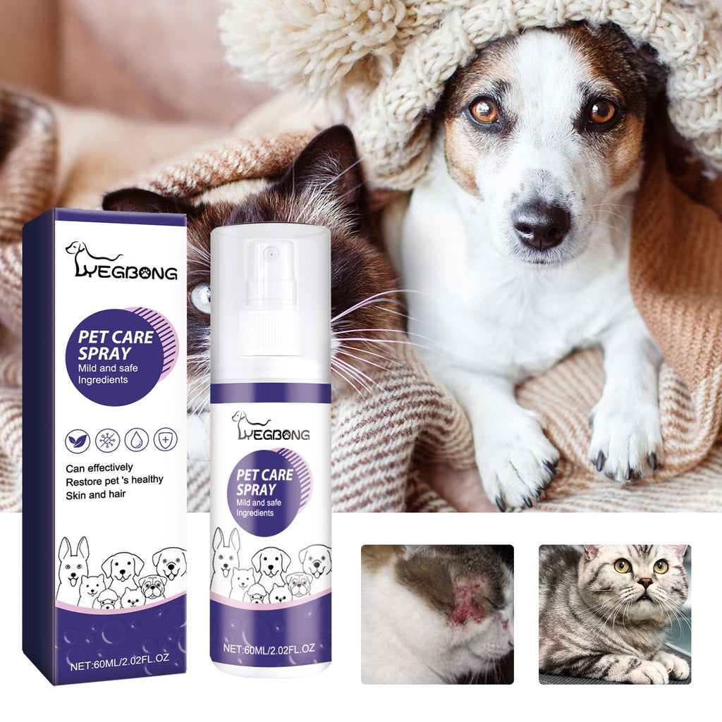 Pet Skin Care Spray Skin Care Spray for Cats and Dogs| Big Paw