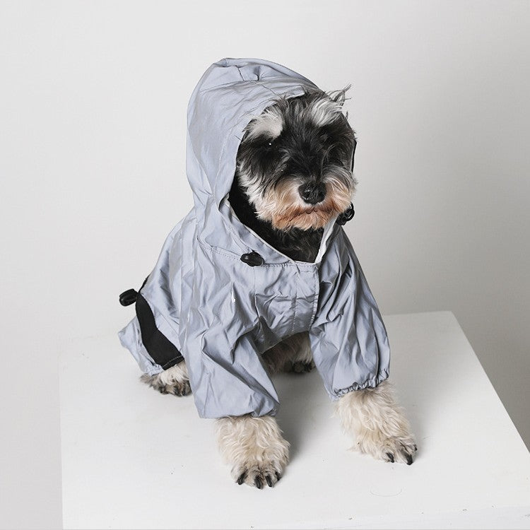 Reflective dog raincoat shown on a dog during an outdoor walk