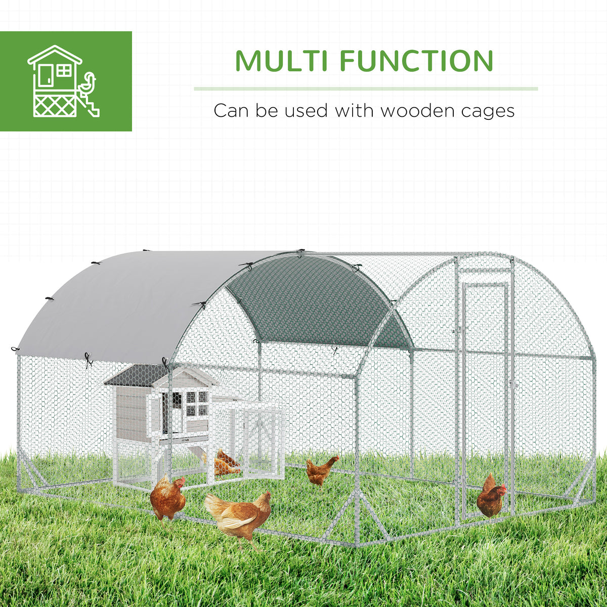 Walk in chicken run with galvanised frame for backyard poultry