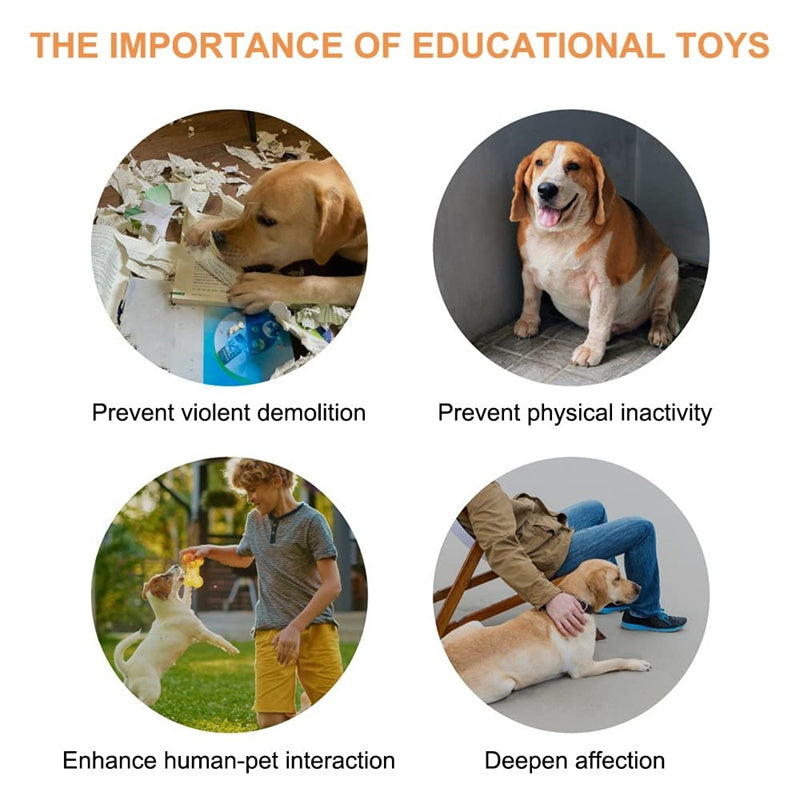 Pet communication button in one of four available colours