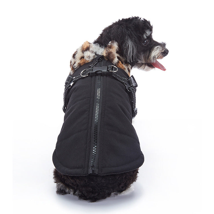 Winter dog jacket showing the overall design