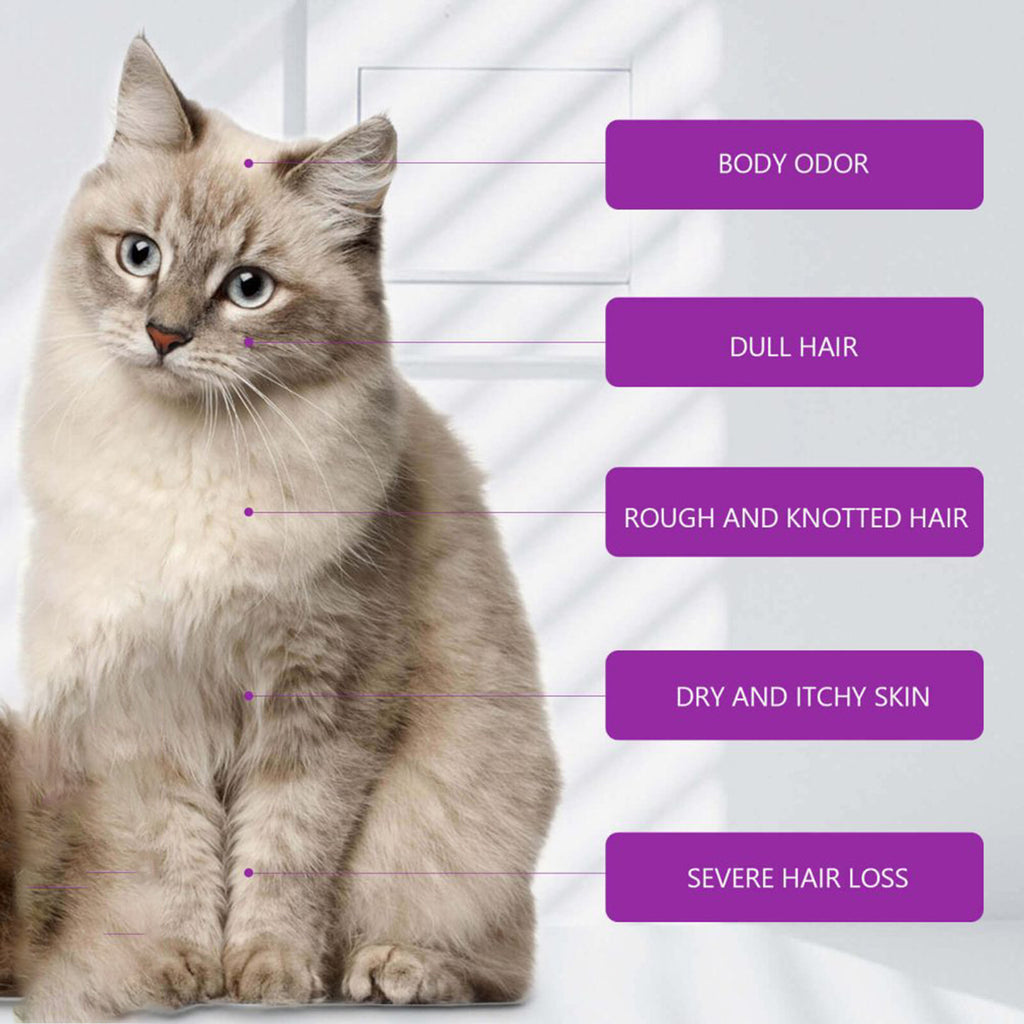Pet shampoo by Yegbong for everyday pet grooming