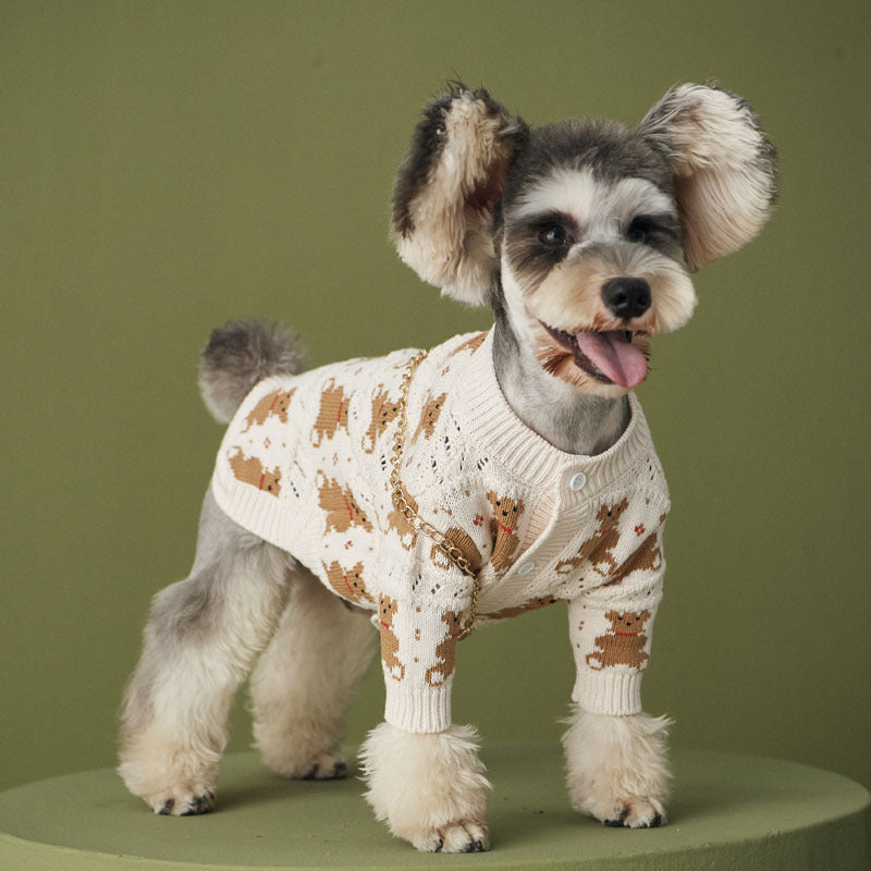 Pomeranian dog jacket displayed from the front