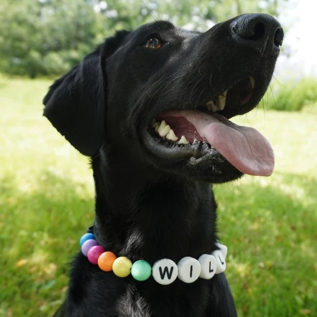Personalized pearl beaded dog collar with custom name