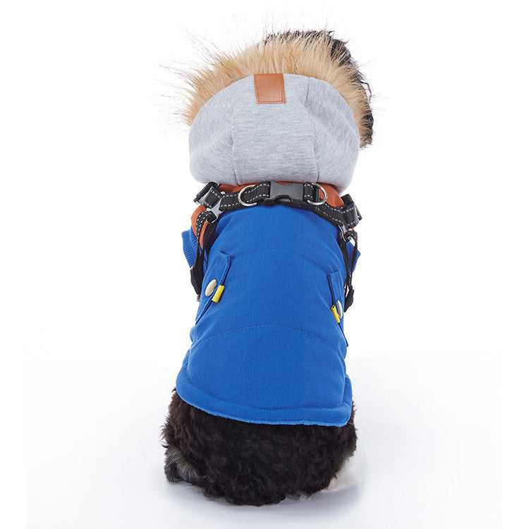 Winter dog jacket showing the overall design
