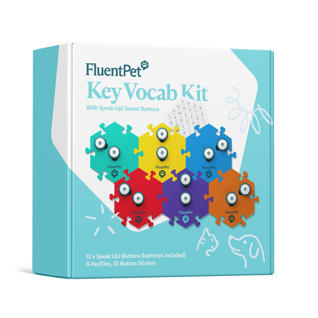 Key Vocab Kit Bold vocabulary practice materials